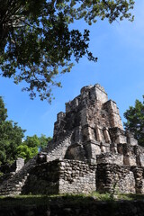 Obraz premium Ruinas de Muyil en la Riviera Maya, México