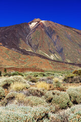 Fototapeta na wymiar El Teide National Park, Tenerife, Canary Islands, Spain