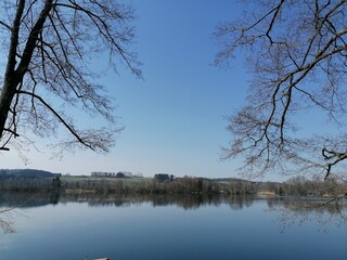 Obraz premium tree on the lake
