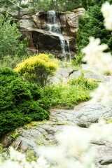 滝、白い花を前景に
