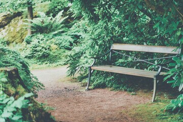 公園のベンチ、懐かしい