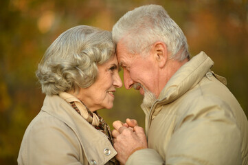 Beautiful senior couple posing in the park
