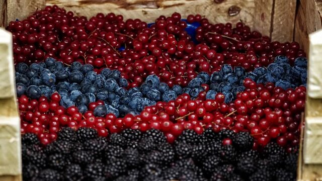 Verschiedene gesunde Obst und Gem&uuml;se.