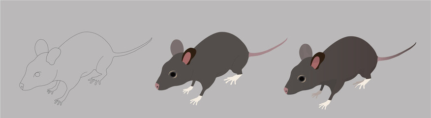 Cartoon Rat and Mouse Vector Illustration Set. Set of icons in isometric.