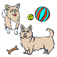 Vector background hand drawn doodle dog. Hand drawn ink illustration. Modern ornamental decorative background. Vector pattern. Print for textile, cloth, wallpaper, scrapbooking