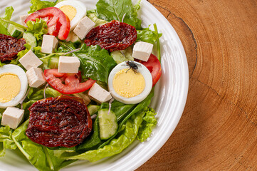 .Fly sitting on green salad with lettuce, arugula, cucumber, cheese, sun-dried tomatoes and boiled egg.