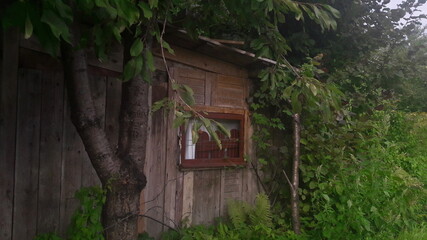 Altanka © Renata