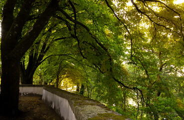 Green area around the 