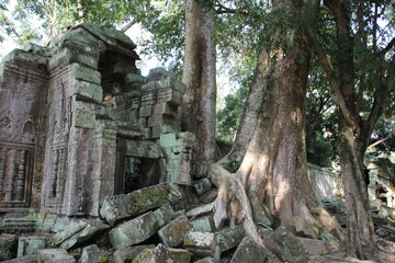 Fototapeta na wymiar Angkor temple in Cambodia with large trees