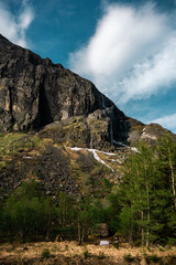 Fototapeta na wymiar Fjord valley - green trees and dark rocks. Beautiful natural landscape of Senja island, northern Norway. View from the road trip, vertical orientation.