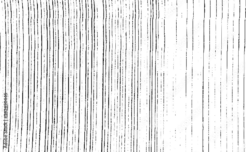 Poster Slim lines texture. Parallel and intersecting lines abstract pattern. Abstract textured effect. Black isolated on white background.Vector illustration. EPS10.