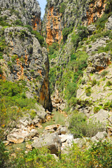 
Cañón de las Buitreras en el Parque Natural de los Alcornocales. Provincia de Málaga, Andalucía, España.