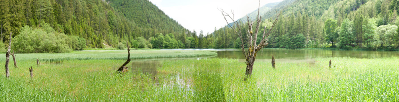 Green Lake Panorama In Austria