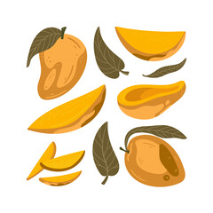 Mango isolated on a white background. Hand draw cartoon Scandinavian nordic design style for fashion or interior or cover or textile or background.