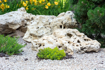 Flowerbed with stones and bushes as a decorative elements.
