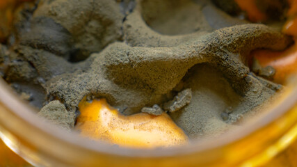 MACRO: Detailed view of the brown mold on the surface of a nacho cheese dip