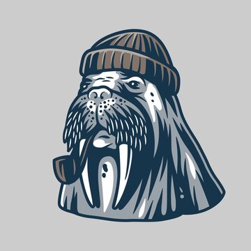 Walrus in a sailor cap with smoking pipe