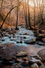 Beautiful idyllic mountain river scenery with coloful autumn sunlight with small waterfalls and fall leaves. Magic nature place to explore. Ilsetal, Harz Mountains, Harz National Park in Germany.