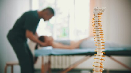 Woman having an osteopathic treatment - a plastic sample of human spine on the foreground - Powered by Adobe