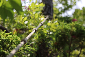 rope on hiking trail