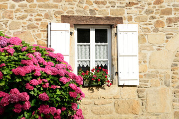 Fototapeta na wymiar Maison bretonne et hortensias en fleurs