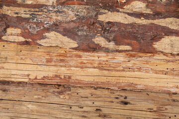 timber