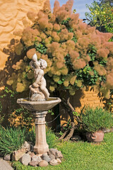 garden in the garden