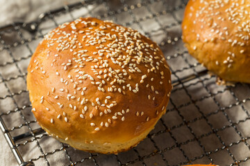 Homemade Sesame Seed Hamburger Buns