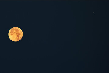 Beautiful full yellow moon, on the dark blue sky on the sunrise. Astronomical background. Night photography.
