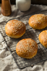 Homemade Sesame Seed Hamburger Buns