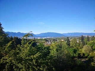 Obraz premium Green Trees blue sky at Vancouver