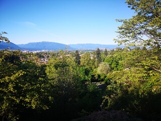 Fototapeta na wymiar Green Trees blue sky at Vancouver