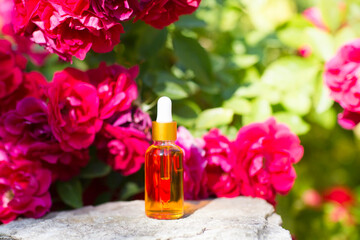 cosmetic glass bottle  for essential oils stands on a stone against the background of a flowering bush of red roses. Spa still life with Natural Serums in glass bottle. Dropper Bottle Mock-Up