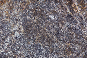 grey stone in the forest texture