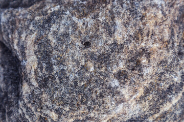 grey stone in the forest. texture