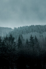 Fog and mist in the mountains. Silhouette of trees and mountain with clouds over the landscape with dramatic dark winter weather. Moody nature view. Harz Mountains, Harz National Park in Germany.