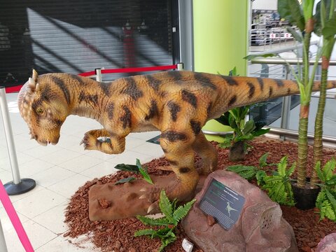 Figura animada de dinosaurio Pachycephalosaurus en exposici&oacute;n de animales prehist&oacute;ricos en centro comercial