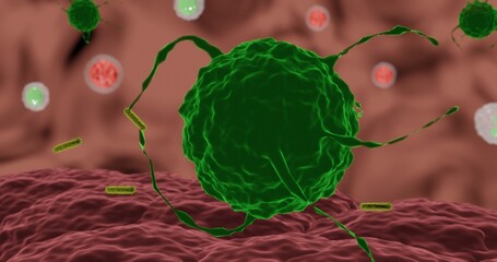 Macrophage undergoing phagocytosis of bacteria in 3d illustration