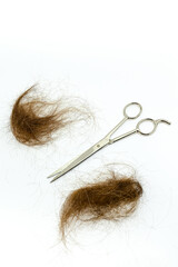 Cuttings of brown hair with a pair of scissors isolated on a white background. No people. Copy space.