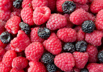 Mix of red and black raspberries as background