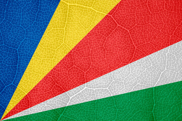 the flag of Seychelles on the structure of a tree leaf macro