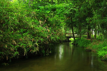 岩手県遠野市　夏のカッパ渕
