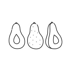Set of hand drawn avocado in black line, simple icon in doodle style. Vector illustration on isolated white background. 