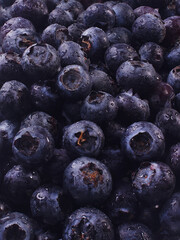blueberries on a white plate