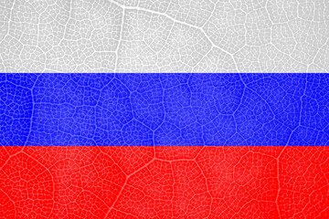 russian flag on the structure of a tree leaf macro