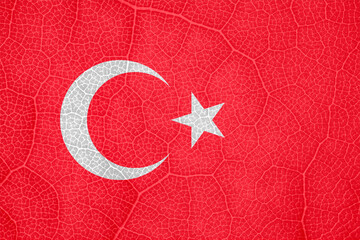 Turkish flag on the structure of a tree leaf macro