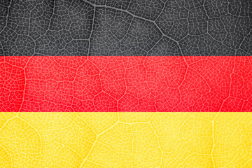 the flag of Germany on the structure of a tree leaf macro