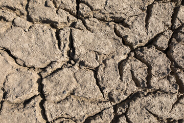 Brown dry soil background