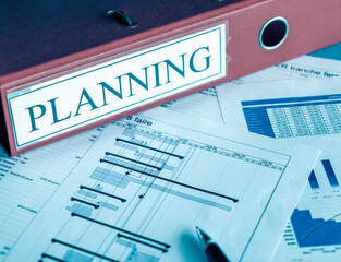 Project Planning Gantt Chart, project management concept 
