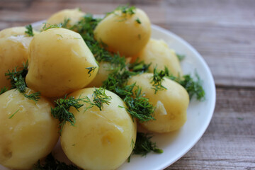 New potatoes with dill on old wooden board table. Close-up of whole boiled potatoes on the white plate. Cooking at home concept	